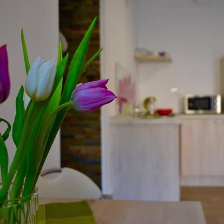 Zsizelle Rezidence Apartamento Braşov Exterior foto