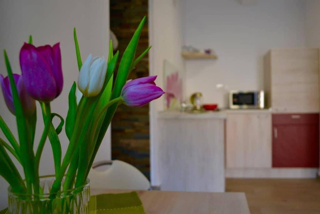 Zsizelle Rezidence Apartamento Braşov Exterior foto